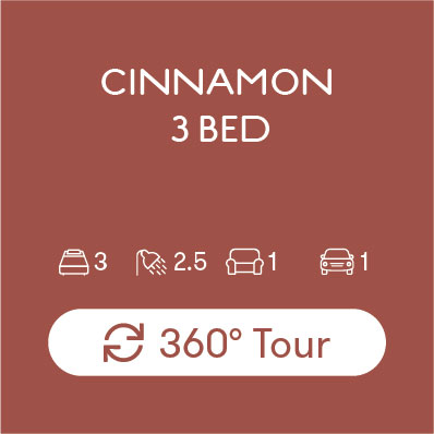 Cinnamon3